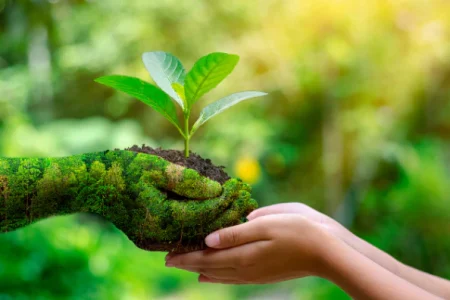 Is_eco-friendly_actually_eco-friendly